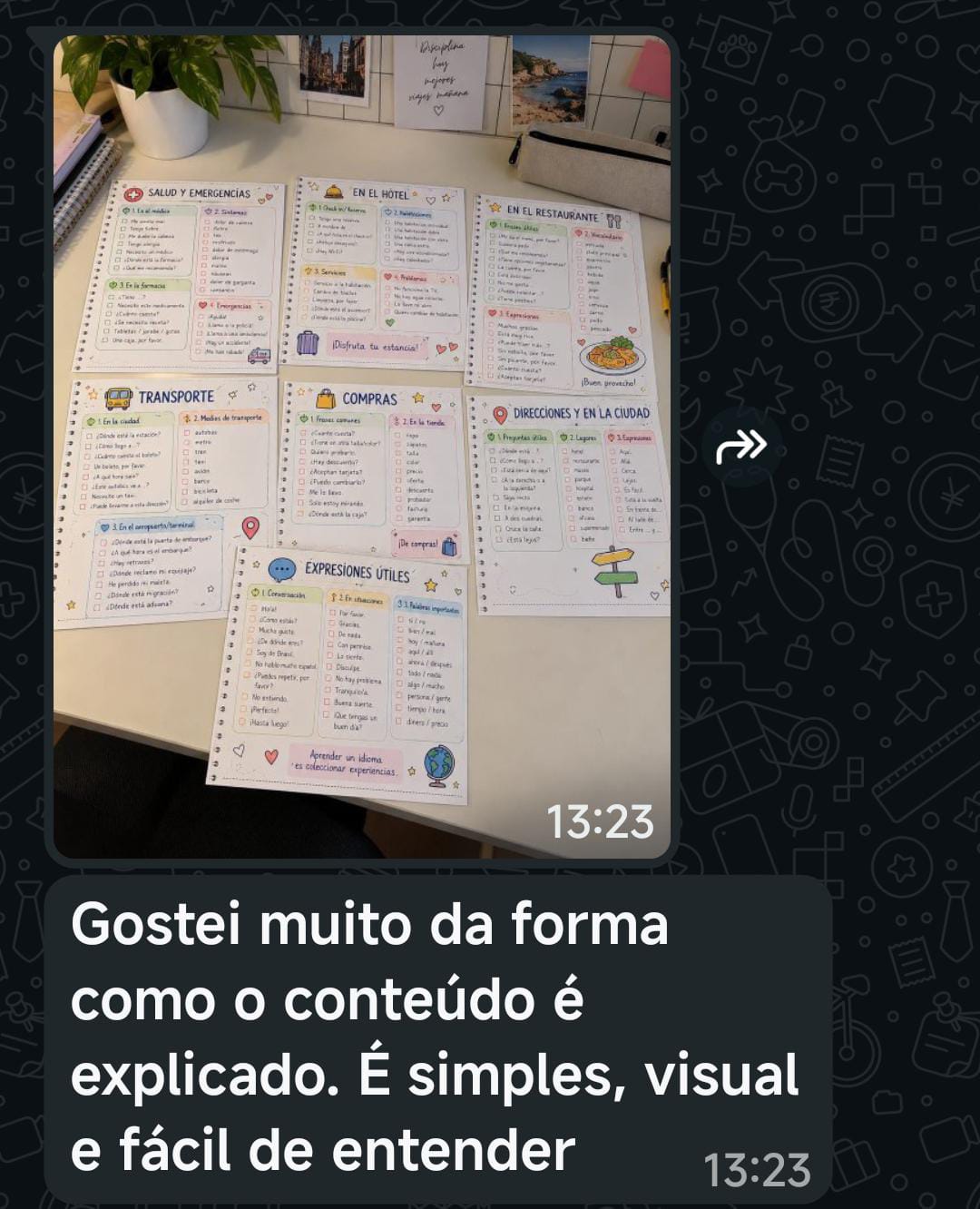 Print real de WhatsApp com depoimento e foto de vários mapas mentais impressos