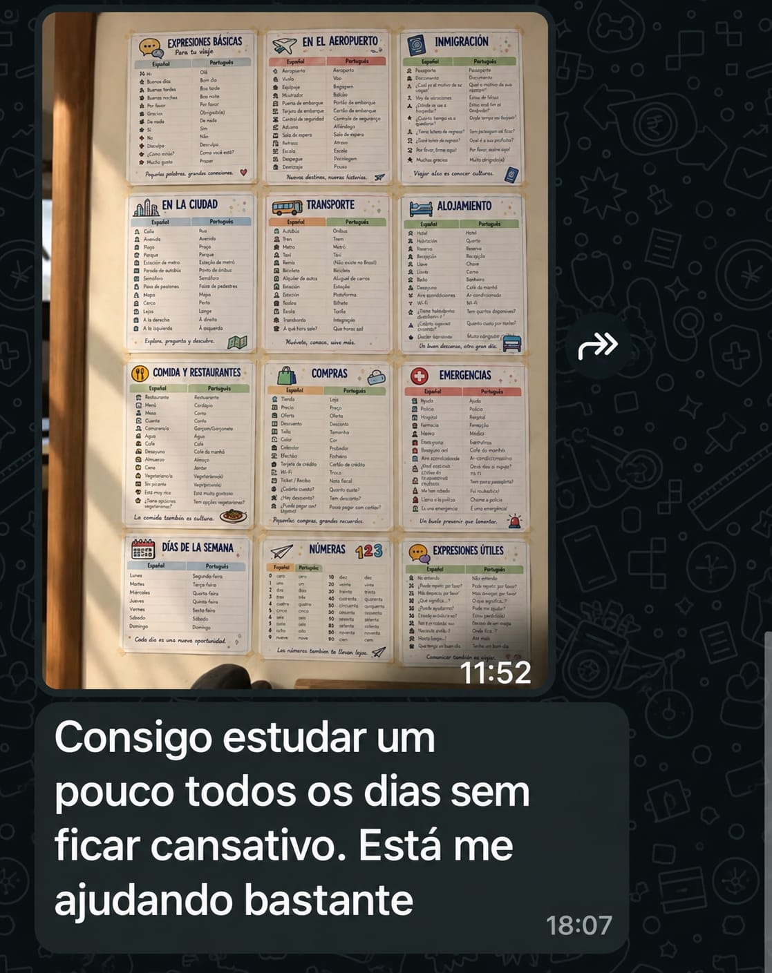 Print real de WhatsApp com depoimento e foto dos mapas mentais de vocabulário